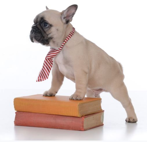 ready-to-learn-1.JPG ready-to-learn-1.JPG