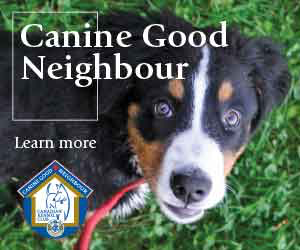 Canine Good Neighbour