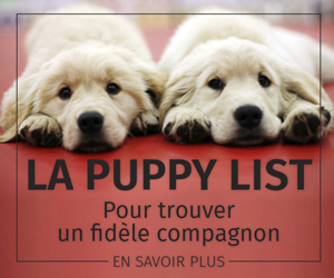 Puppy List