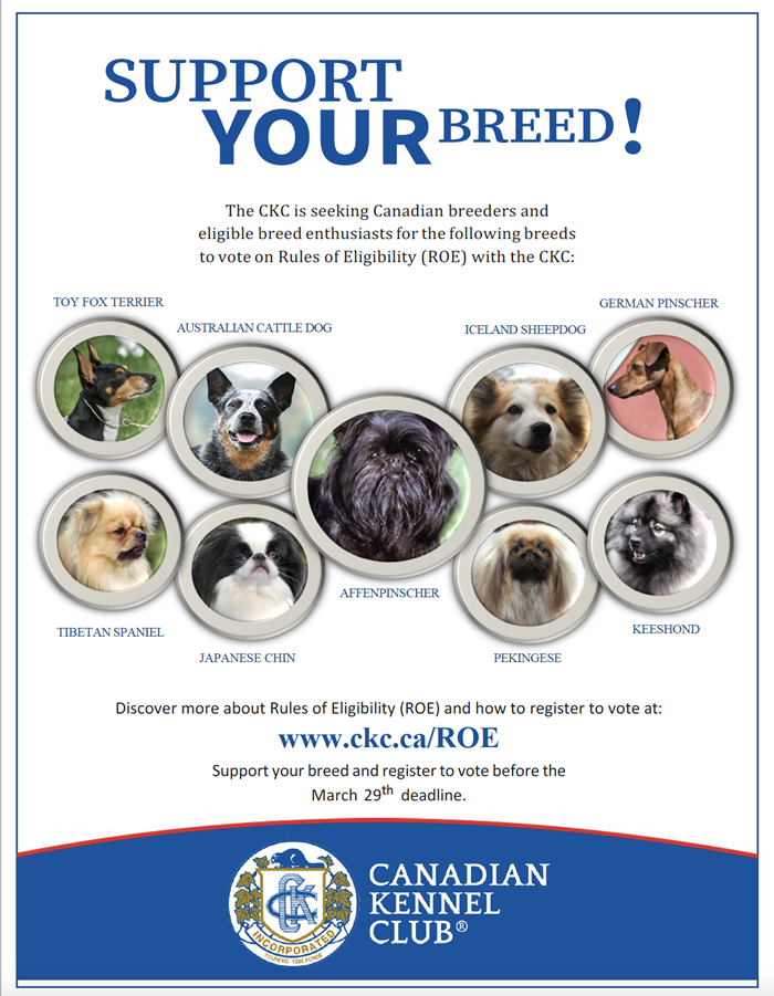 Becoming a store registered dog breeder