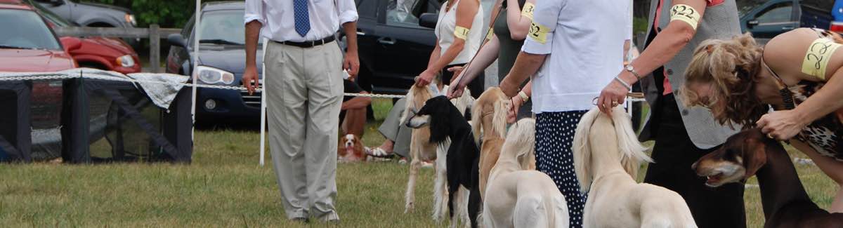 Ckc best sale dog show