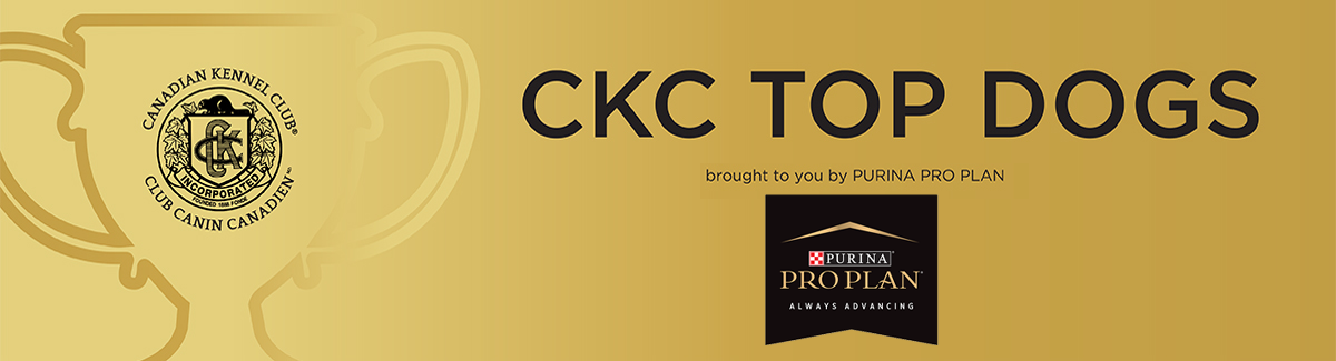 Ckc dog outlet tag