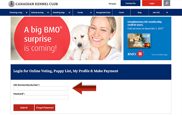 Ckc canadian kennel sales club