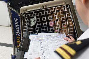 ORD_DogInspection_DerekSakris_2017.jpg