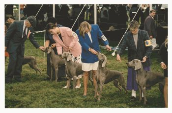 Conformation-Mary-B.jpg Conformation-Mary-B.jpg