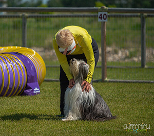 Agility-bonding-Photo-Chipperfield-Photography.jpg Agility-bonding-Photo-Chipperfield-Photography.jpg
