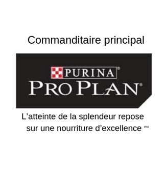 Pro-Plan-Blog-FR.jpg