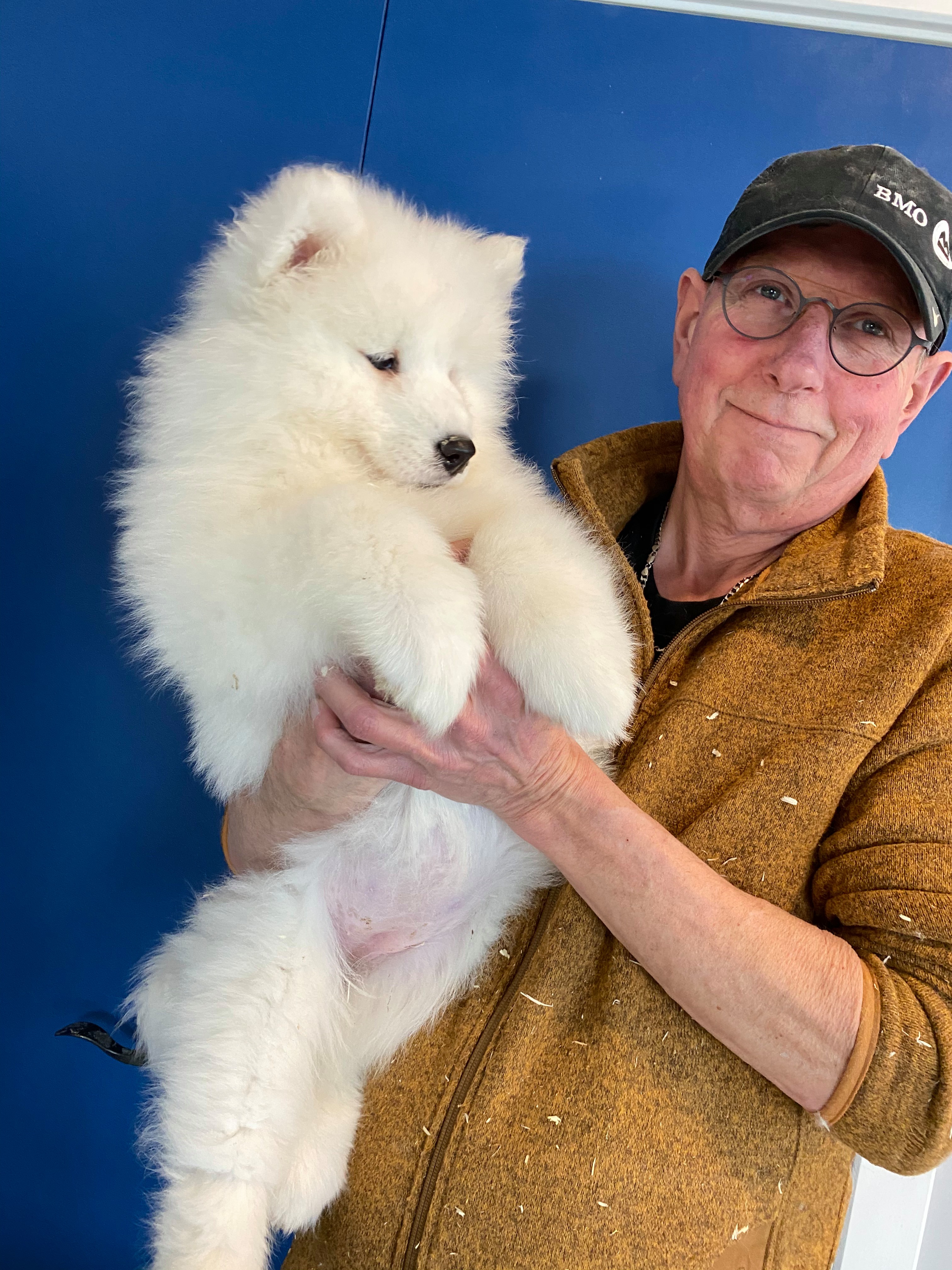 Vanderbilt store samoyeds price