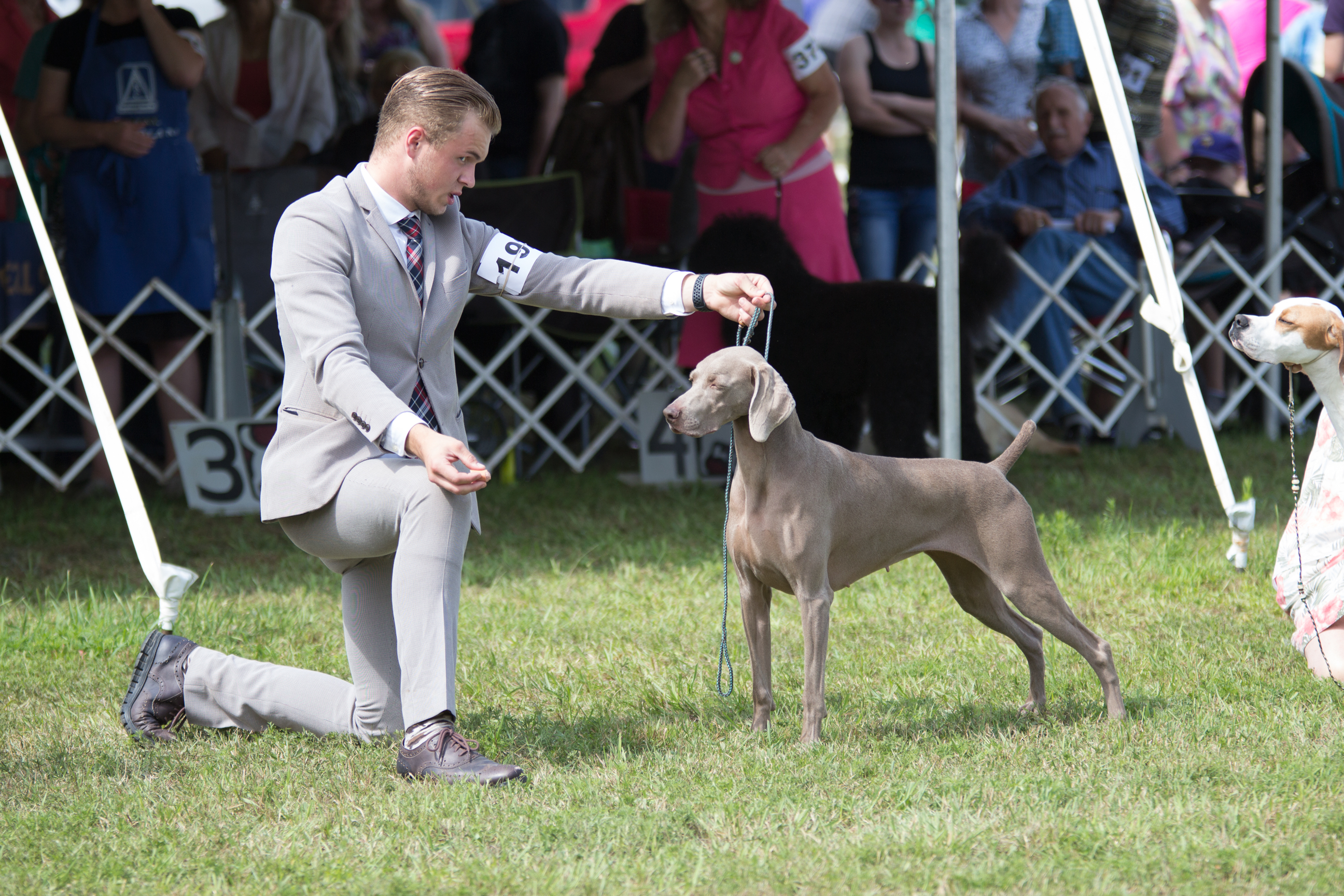 Canadian kennel sale club events