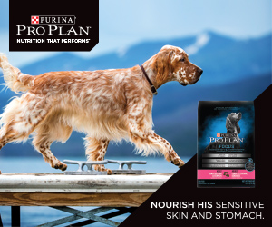 Purina